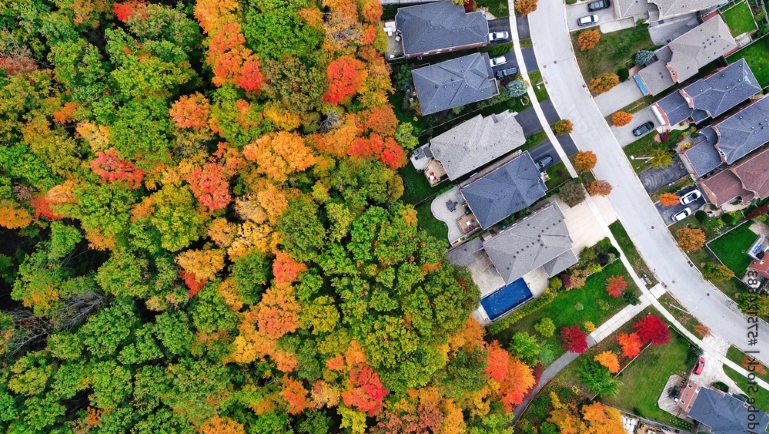 As inventory increases, price gains relent to begin the fall season